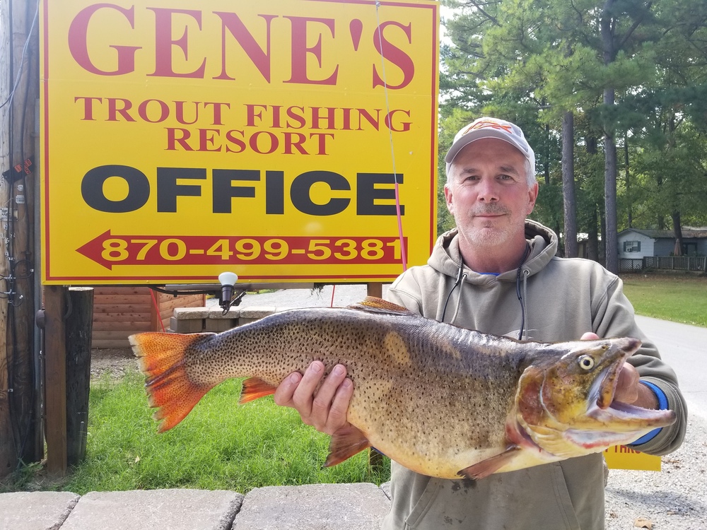 Trout Fishing News Gene S Trout Fishing Resort North Fork River