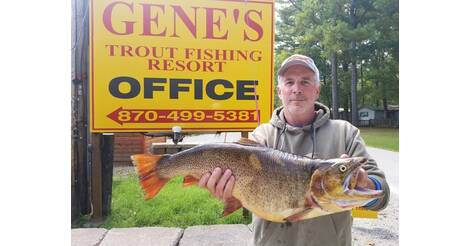 Trout Fishing News - Gene's Trout Fishing Resort - North Fork River